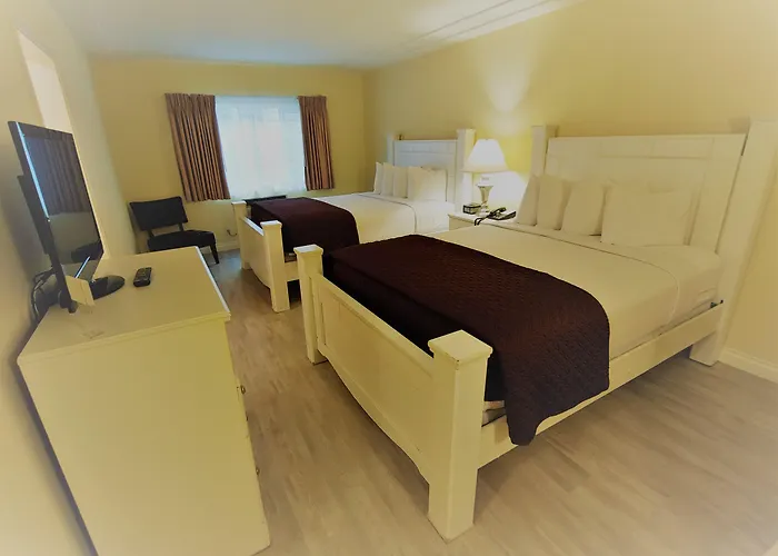 Hollywood Celebrity Hotel