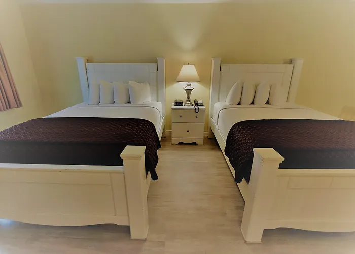 Hollywood Celebrity Hotel